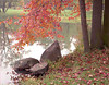 SmugMug > all-time keyword > pond > Narita, Japan photo